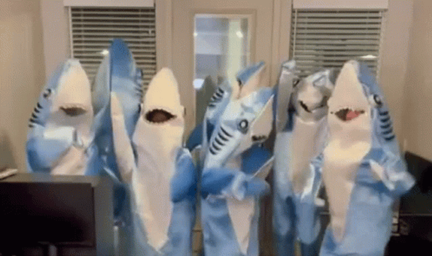 Group Of Friends Baby Shark GIF