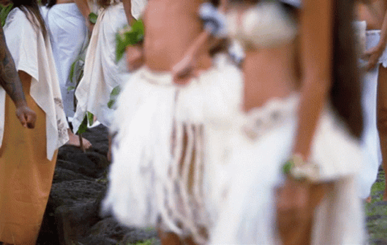 Group Of Girls Doing Hawaiian Dance GIF