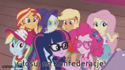 Group Of Girls With Głosuj Na Konfederacje GIF