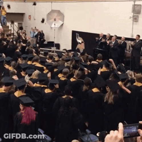 Group Of Graduates In Gowns And Caps GIF