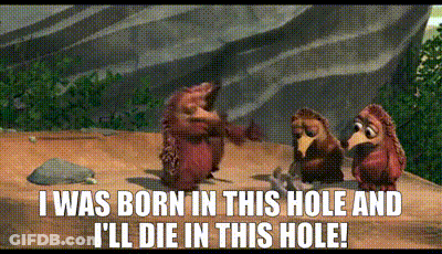 Group Of Hedgehogs Standing On Dirt Hill GIF