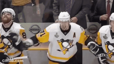 Group Of Hockey Players Standing In Front Of Crowd GIF