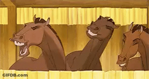 Group Of Horses Standing In Stable GIF