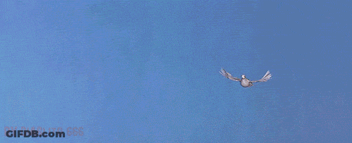 Group Of Martians Standing In Front Of Spaceship GIF