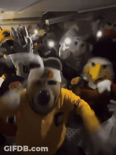 Group Of Mascots One Wearing Yellow Shirt Saying C GIF