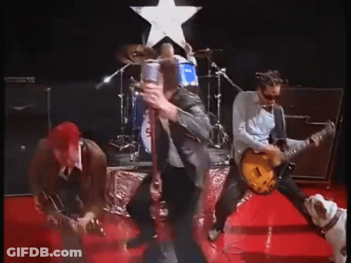Group Of Men Playing Guitars On Stage While Dog Watches GIF