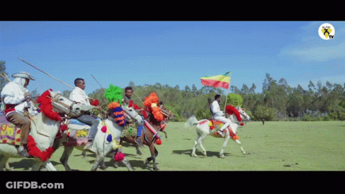 Group Of Men Riding Horses With Flag GIF