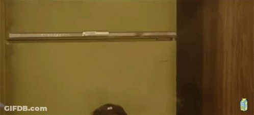 Group Of Men Without Shirts Standing In Room GIF