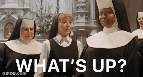 Group Of Nuns Standing What's Up GIF
