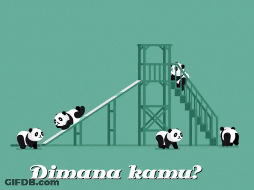 Group Of Panda Bears On A Slide Dimana Kamu GIF