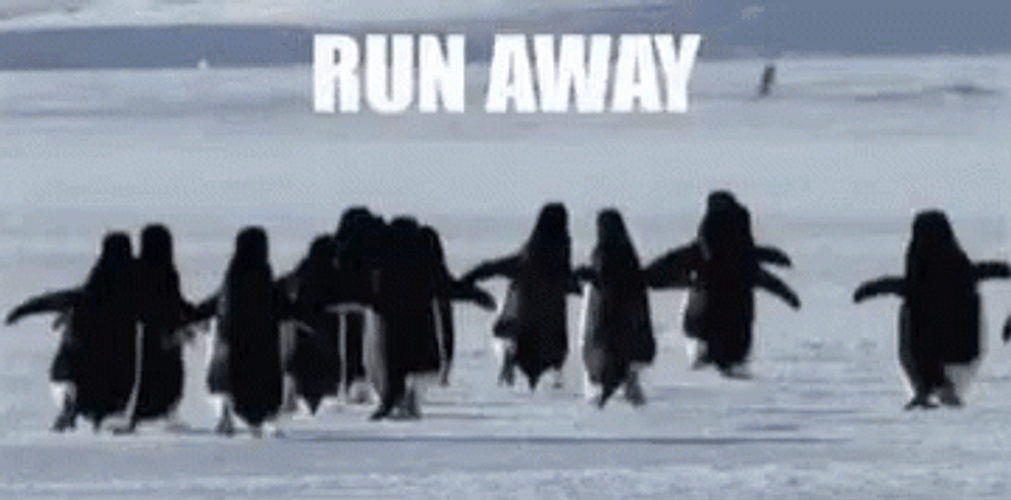 Group Of Penguins Running Away GIF