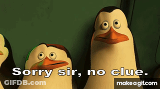Group Of Penguins Saying Sorry Sir No Clue GIF