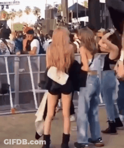 Group Of People At Concert GIF