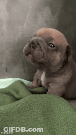 Group Of People Holding Hands In Room GIF