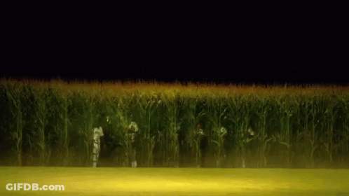 Group Of People In Corn Field At Night GIF