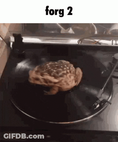 Group Of People In Kitchen Saying Xaxaxaxaxa GIF