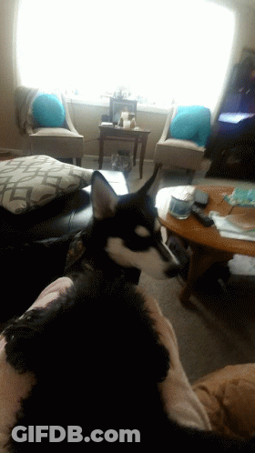 Group Of People In Room With Gifrun.com GIF