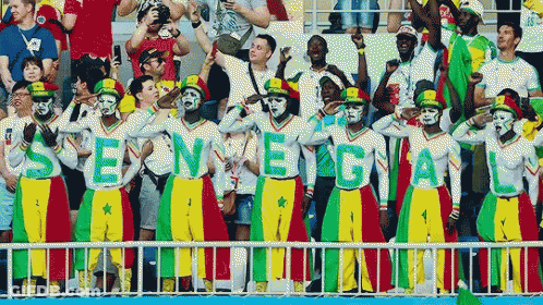 Group Of People In Stadium Holding Signs Saying Senegal GIF
