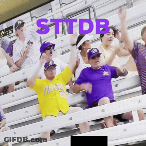 Group Of People In Stadium With STTDB GIF