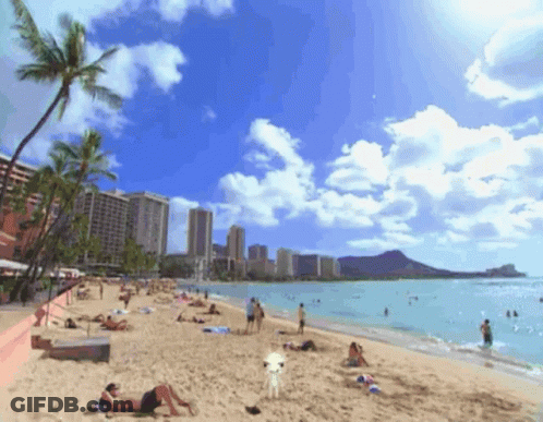 Group Of People Laying On Beach With Palm Trees GIF