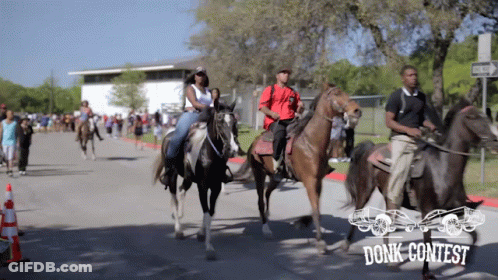 Group Of People Riding Horses Donk Contest GIF
