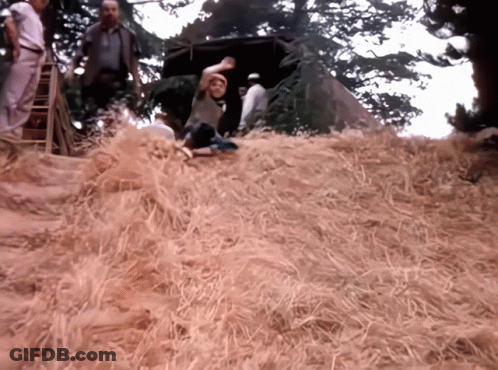 Group Of People Standing Around Hay Pile GIF