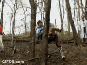 Group Of People Standing In Forest GIF