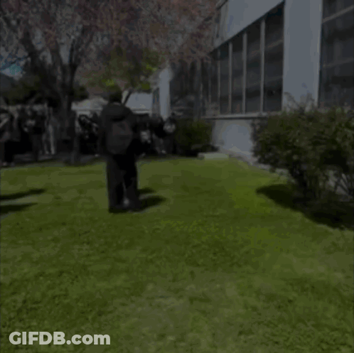 Group Of People Standing In Grassy Area With Man Carrying Large Log GIF