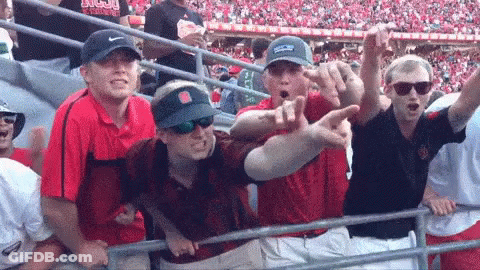 Group Of People Standing In Stadium With Arms In The Air GIF
