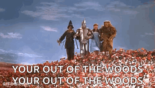 Group Of People Standing On Hill Of Flowers GIF