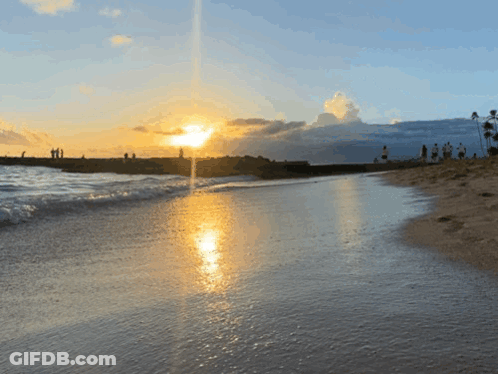 Group Of People Watching Sunset On Beach GIF