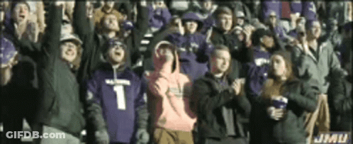 Group Of People With Hands In The Air In Stadium GIF