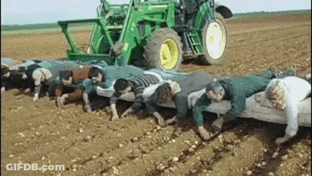 Group Of People Working In Field With Green Tractor GIF