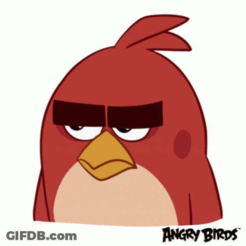 Group Of Pigeons Walking On Ground GIF