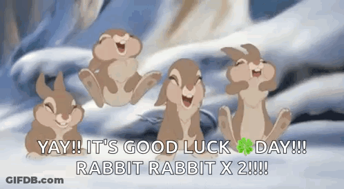 Group Of Rabbits On Snow GIF