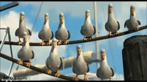 Group Of Seagulls Standing On A Wire GIF
