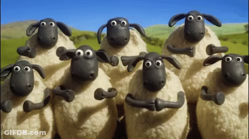 Group Of Sheep Standing In Field With Arms Around Each Other GIF