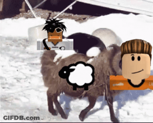 Group Of Sheep Standing In Snow With Man In White Shirt GIF