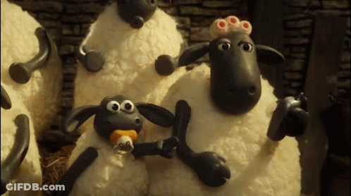 Group Of Sheep Standing Together GIF