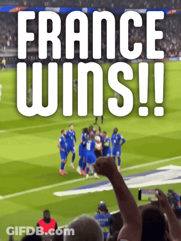 Group Of Soccer Players Celebrating France Wins GIF