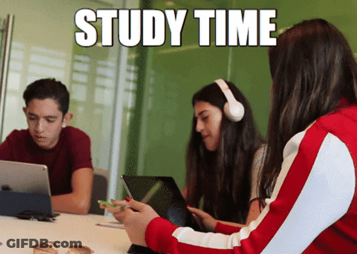 Group Of Student In A Room Study Time GIF