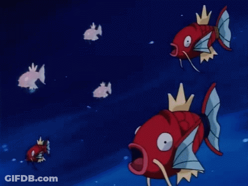Group Of White Fish Swimming In Dark Blue Water GIF