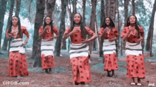 Group Of Women Dancing In Woods GIF