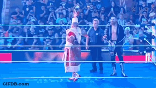 Group Of Wrestlers In Wrestling Ring GIF