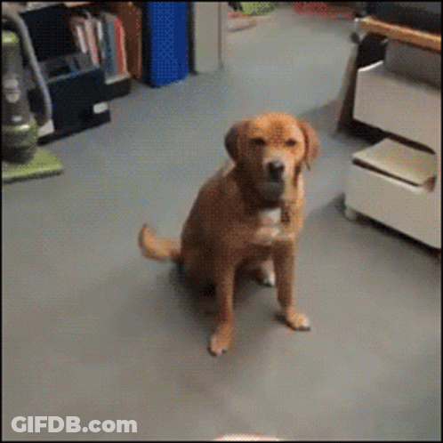 Group Playing Frisbee On Field With Gifs.com GIF