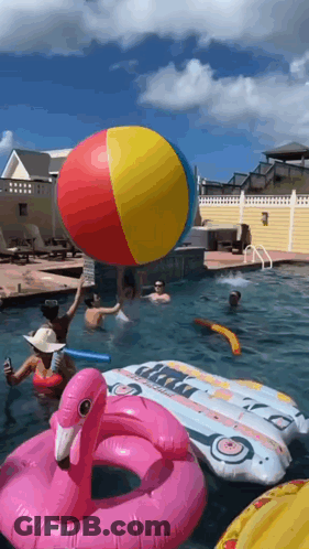 Group Playing In Pool With Flamingo Float And Beach Ball GIF