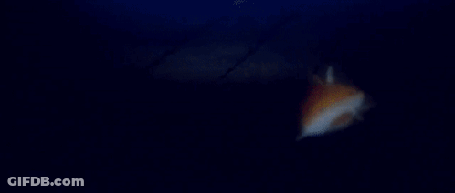 Group Playing Killer Shark Game GIF