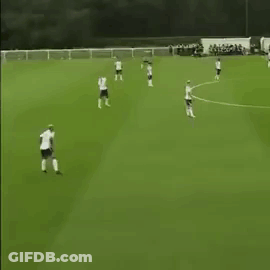 Group Playing Soccer On Green Field GIF