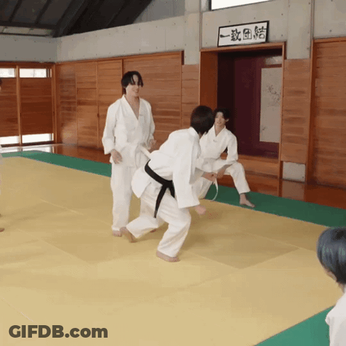 Group Practicing Martial Arts In Gym GIF