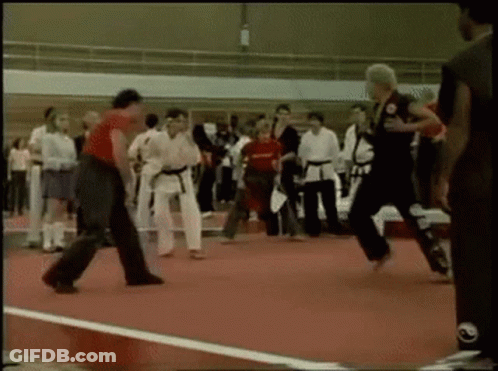 Group Practicing Martial Arts On Red Mat GIF